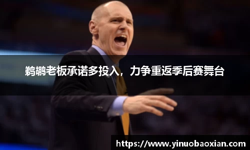 鹈鹕老板承诺多投入，力争重返季后赛舞台